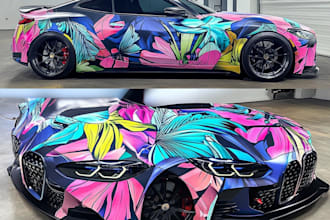 do van car truck trailer any vehicle wrap design for you