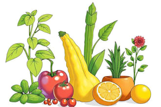 draw realistic plants, vegetables, fruits