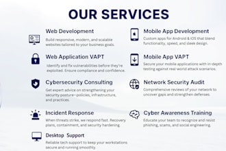 perform a vapt test for your site and provide a full security report