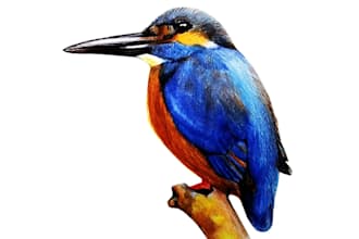 draw high quality color pencil sketch, watercolor, line art, pen sketch