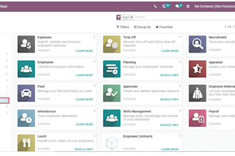 provide odoo customization, implementation, developer, configuration and support