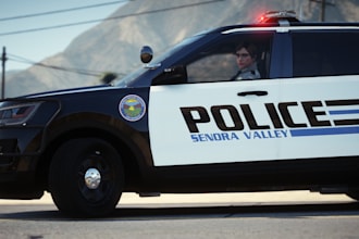 create you a livery for a fivem vehicle