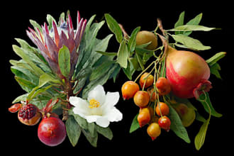 draw your flowers fruits vegetable and botanical plants
