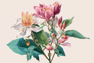 draw botanical illustration of flower illustration, plant