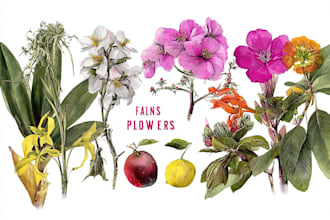 draw botanical illustration art for you