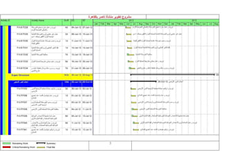 create a professional project schedule using primavera p6