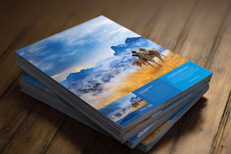 design a professional advertising flyer post or poster