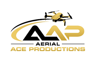 design awesome drone logo