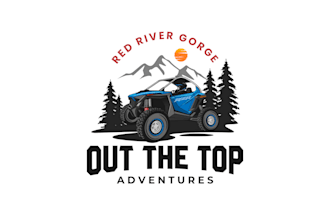 design eye catchy floating, ride car vintage logo  in 12 hours