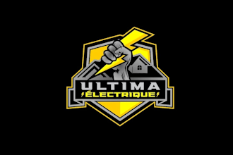 create wonderful and excellent electrician logo design