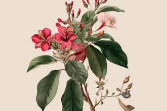 draw botanical illustration of flower illustration, plant illustration, and logo