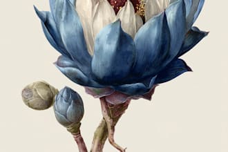 make botanical product illustration