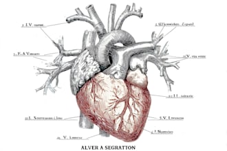 draw exercise, medical and anatomy illustrations