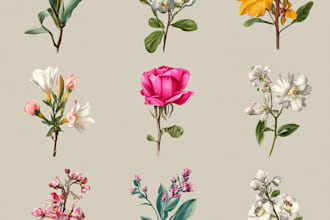 create an botanical illustration art for you