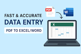do invoice data entry, cleaning, and analysis in excel or google sheets