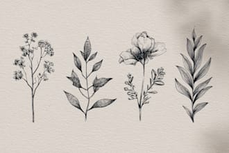 design a hand drawn botanical line art boho logo