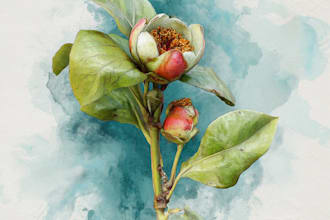 draw realistic botanical watercolor illustration