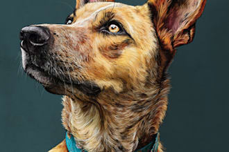 draw custom pet portrait, dog portrait, cat portrait