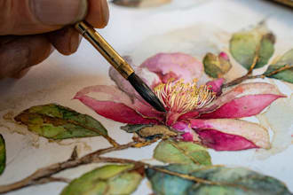 draw botanical illustration of flower logo illustration