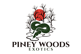 design excellent apparel, hat logo