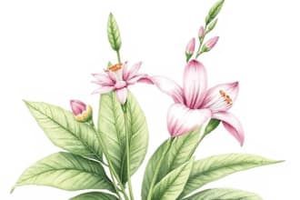 draw realistic botanical illustration