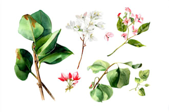 craft captivating fungi and botanical art