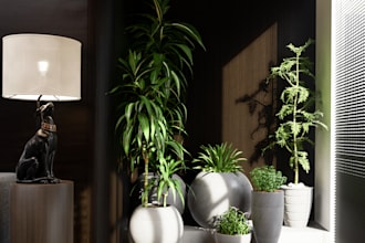 interior design and realistic 3d rendering