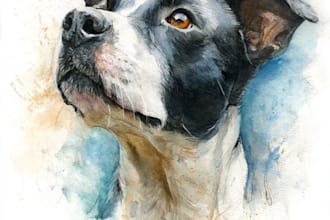 draw watercolor pet portrait