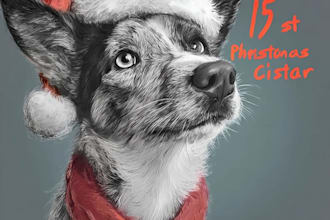 draw your christmas pet portrait