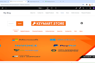a professional wordpress website with elementor