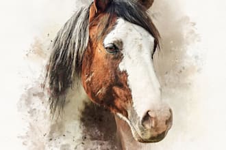 draw portrait of your horse