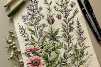 illustrate best botanical illustration