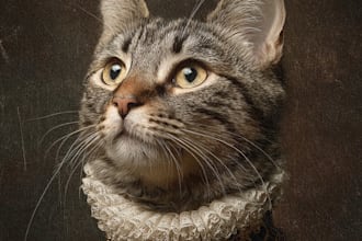 create a custom pet portrait from your favorite photo, memorial gifts