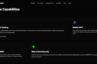 do cybersecurity testing for your websites apps apis