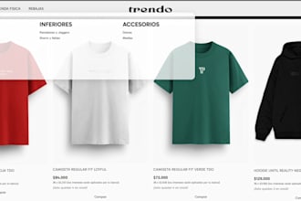 build a shopify or tiendanube clothing store with mockups
