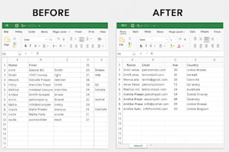do accurate data entry in excel or google sheet