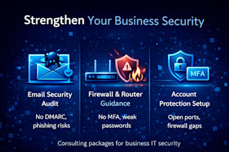 provide cybersecurity, IT consulting and security assessment
