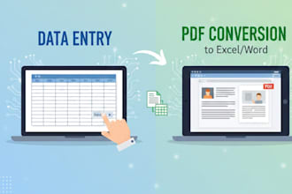 bulk data entry and PDF to excel word conversion expert