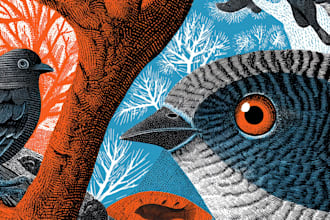 create awesome linocut illustration for your brand