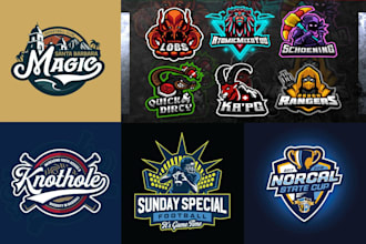 design or redesign a custom sports logo