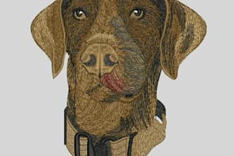 digitize real images for you using wilcom software