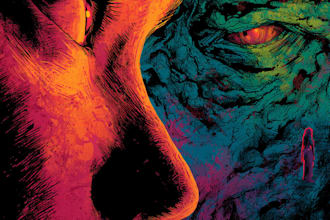 do comic book illustration graphic novel