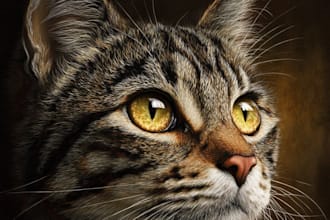 draw an emotional close up cat portrait from photo