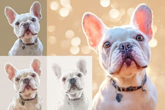 turn your dog or cat into disney pixar art
