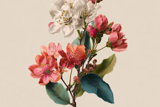 create a beautiful vintage botanical illustration poster