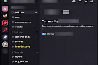 create a professional discord server with bots and roles