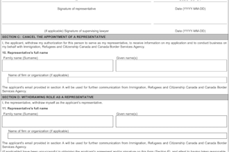 provide expert data entry and document support
