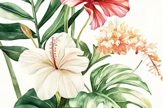 draw botanical illustrations of flowers