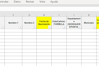 hare digitacion de datos y organizacion en excel en salud