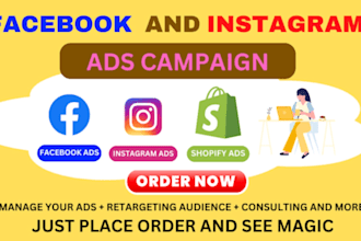 be your facebook ads manager, run fb ads campaigns and marketing, instagram ads